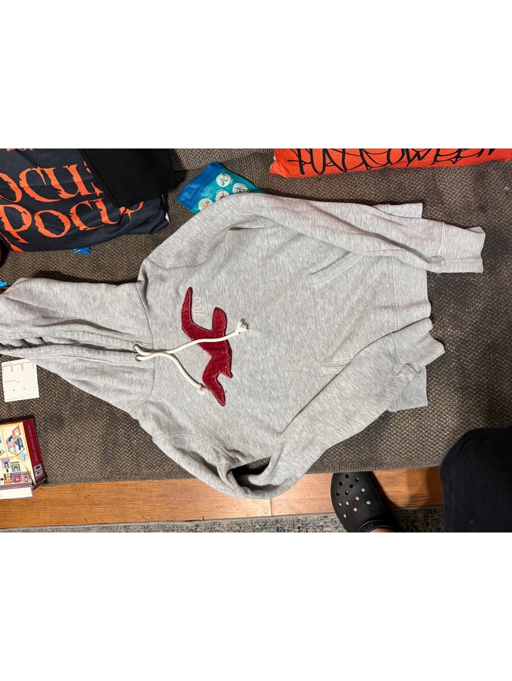Hollister Gray Hoodie with Red Logo Detail, Size M